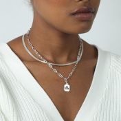 Paperclip Style Zodiac Necklace [Sterling Silver]