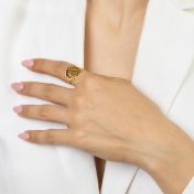 Precious Spot Silhouette Map Ring [18K Gold Vermeil]